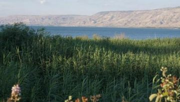 אטרקציות בכנרת למשפחות בחורף ובכל עונה