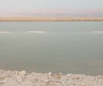 המלונות הכי טובים בים המלח